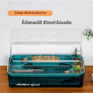 เต่าผสมพันธุ์กล่องเต่าถังครัวเรือนนิเวศวิทยาภูมิทัศน์กล่องในร่มและกลางแจ้งเต่าผสมพันธุ์กล่องวิลล่าอาทิตย์เทอเรสสะเทินน้ําสะเทินบกถังนิเวศวิทยา