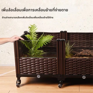 เต่าผสมพันธุ์กล่องเต่าถังครัวเรือนนิเวศวิทยาภูมิทัศน์กล่องในร่มและกลางแจ้งเต่าผสมพันธุ์กล่องวิลล่าอาทิตย์เทอเรสสะเทินน้ําสะเทินบกถังนิเวศวิทยา