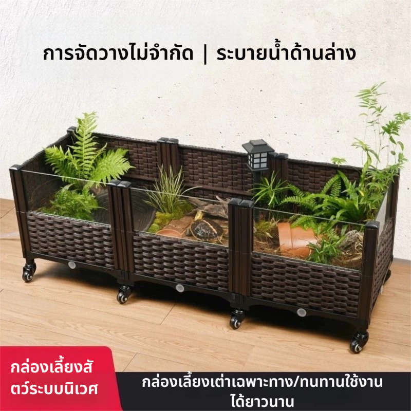 เต่าผสมพันธุ์กล่องเต่าถังครัวเรือนนิเวศวิทยาภูมิทัศน์กล่องในร่มและกลางแจ้งเต่าผสมพันธุ์กล่องวิลล่าอาทิตย์เทอเรสสะเทินน้ําสะเทินบกถังนิเวศวิทยา