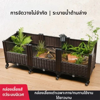 เต่าผสมพันธุ์กล่องเต่าถังครัวเรือนนิเวศวิทยาภูมิทัศน์กล่องในร่มและกลางแจ้งเต่าผสมพันธุ์กล่องวิลล่าอาทิตย์เทอเรสสะเทินน้ําสะเทินบกถังนิเวศวิทยา