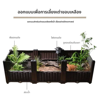 เต่าผสมพันธุ์กล่องเต่าถังครัวเรือนนิเวศวิทยาภูมิทัศน์กล่องในร่มและกลางแจ้งเต่าผสมพันธุ์กล่องวิลล่าอาทิตย์เทอเรสสะเทินน้ําสะเทินบกถังนิเวศวิทยา