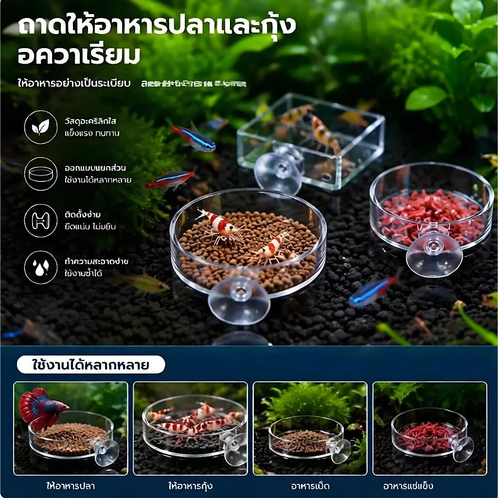 [YG] Aquarium Feeder อะคริลิคปลาโปร่งใสรอบจานสแควร์กุ้งกล่องอาหารปลาและกุ้งอุปกรณ์ให้อาหาร TH