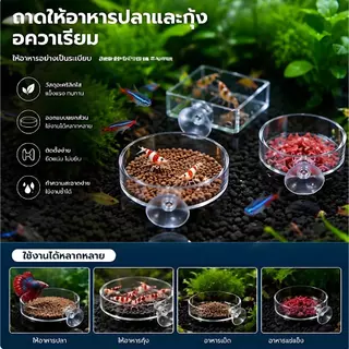 [YG] Aquarium Feeder อะคริลิคปลาโปร่งใสรอบจานสแควร์กุ้งกล่องอาหารปลาและกุ้งอุปกรณ์ให้อาหาร TH