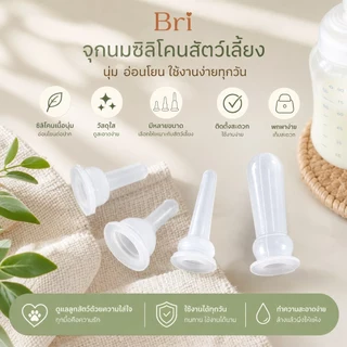 Bri 10pcs Universal สัตว์เลี้ยงจุกนม Mini Cat ซิลิโคน Feeding Pacifier สําหรับทารกแรกเกิดลูกแมวลูกสุนัขสุนัขกระต่ายสัตว์เล็ก ywr