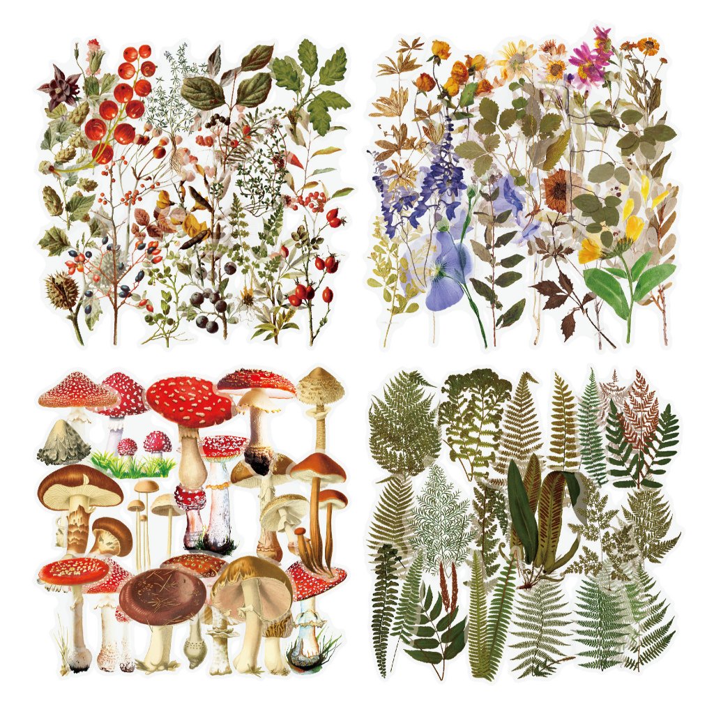 สติกเกอร์ดอกไม้เห็ด PET ใส 40 ชิ้น, สติกเกอร์ตกแต่ง 20 รูปแบบ - แพ็ค