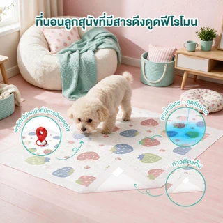 Honeycare สตรอเบอร์รี่รูปแบบ Pad การฝึกอบรม Pad สําหรับสุนัขแมวเทป Fixation Pee Pad ถาด Deodorization Wee Poop ปัสสาวะทิ้งกาว Backing