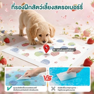 Honeycare สตรอเบอร์รี่รูปแบบ Pad การฝึกอบรม Pad สําหรับสุนัขแมวเทป Fixation Pee Pad ถาด Deodorization Wee Poop ปัสสาวะทิ้งกาว Backing