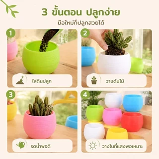[GA] 6 แพ็คเกจดอกไม้ POTS Stone POTS Multi-color เสริมหม้อพลาสติกเรซินหนา [TH]