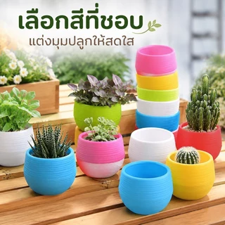 [GA] 6 แพ็คเกจดอกไม้ POTS Stone POTS Multi-color เสริมหม้อพลาสติกเรซินหนา [TH]