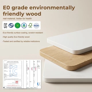 Ergomaker โต๊ะปรับระดับไฟฟ้า รุ่นต่ำ ช่วงความสูง 48-75cm โต๊ะปรับระดับไฟฟ้าสำหรับเด็ก โต๊ะปรับระดับ โคอม มีล้อ