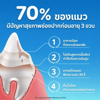 Purina Dentalif Cat Dental Treats for Oral Care - รสปลาแซลมอนหรือไก่ 50g/170g | การควบคุมทาร์ทาร์ ทําความสะอาดฟัน ขนมแมว