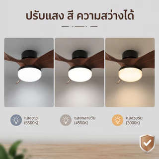 【TH การจัดส่ง】RHPOA LED ไฟ พัดลมเพดานพร้อมไฟ จ27 เกลียว 3 โหมดรีโมทคอนโทรล