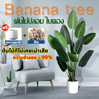 🌿🌿ต้นไม้ปลอม(ฟรี หินโรย กระถางดอกไม้) ต้นปลอมใหญ่ ใบตอง ต้นมอนสเตอร่าขนาดสูง75-120ซม ตั้งหน้าทีวี ตั้งพื้นและหัวเตียง ต้นไม้มงคล พร้อมกระถางและหินสีขาว สำหรับตกแต่งบ้านและสวน