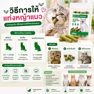 Love Pet Prosper หญ้าแมวฟรีซดราย ขนมหญ้าแมว หญ้าแมวอัดแท่ง ช่วยขับก้อนขน ขัดฟัน เคี้ยวเพลิน สำหรับแมว 15 ชิ้น