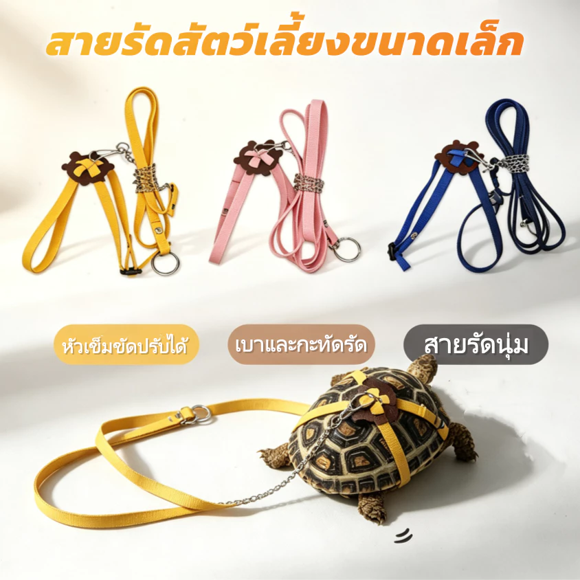 [เวอร์ชันอัพเกรด]สัตว์เลี้ยงเต่าเชือกลากออกเข็มขัดฉุดการฝึกอบรมสัตว์เลี้ยงกลางแจ้งจูงการฝึกอบรมจูง