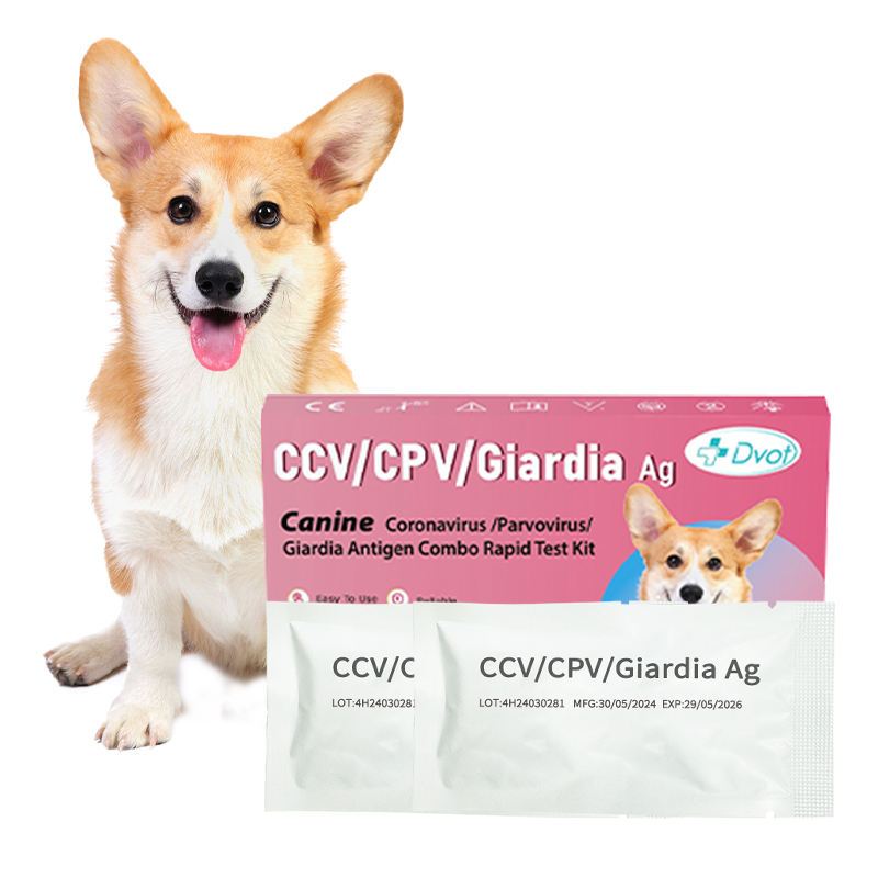 5/10 Tests Canine 3-in-1 Rapid Test Kit สําหรับ CCV CPV & Giardia Antigen Combo Detection Feces ตัวอ