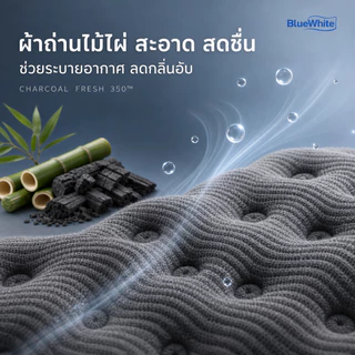 BlueWhite ที่นอนพ็อกเก็ตสปริง 10 นิ้ว นุ่มเงียบ ลดแรงสั่นสะเทือน ระบายอากาศดี 3.5/4/5/6 ฟุต รับประกัน 5 ปี