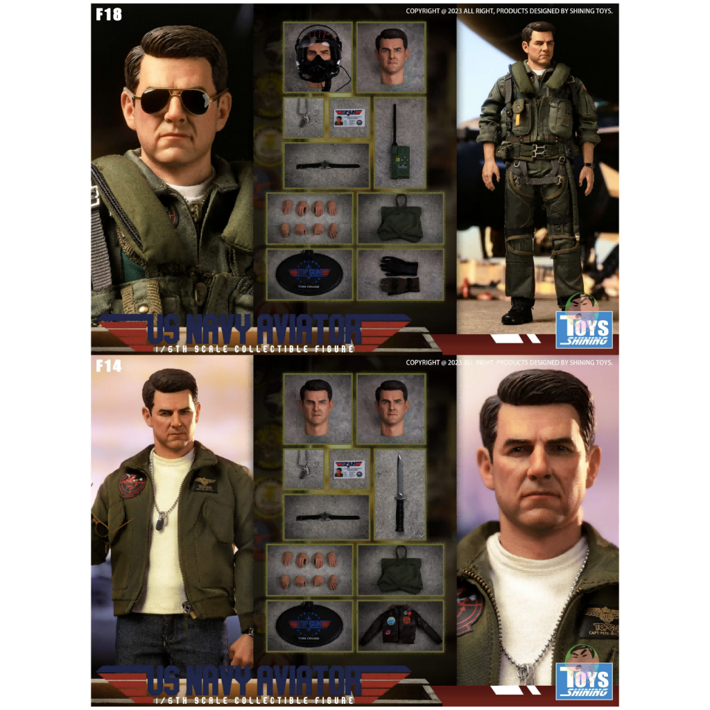 Shining Toys 1/6 US F14/F18 Aviator Collectible Figure