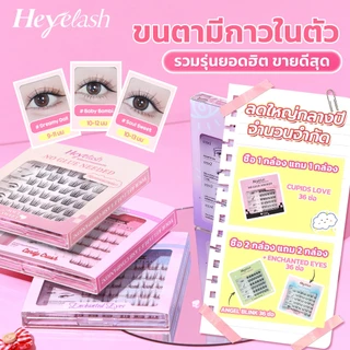 【มีส่งด่วนในเวลาทำการ】รวมรุ่นขนตามีกาวในตัวยอดฮิตจาก HeyeLash ติดง่าย ไม่ง้อกาว