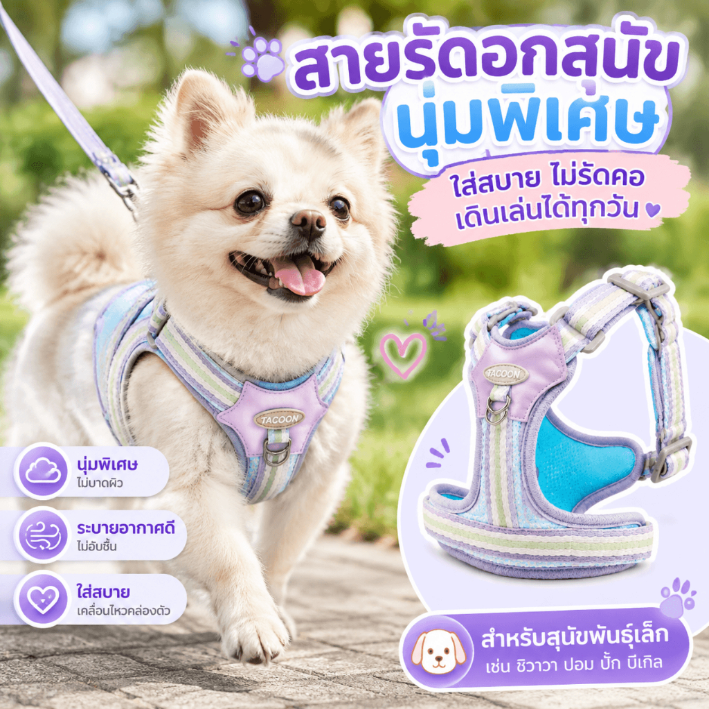 สายรัดอกสุนัขพันธุ์เล็ก นุ่มพิเศษ Dog Harness ไม่รัดคอ ใส่สบาย สีพาสเทล พร้อมสายจูง สำหรับสุนัขตัวเล็ก