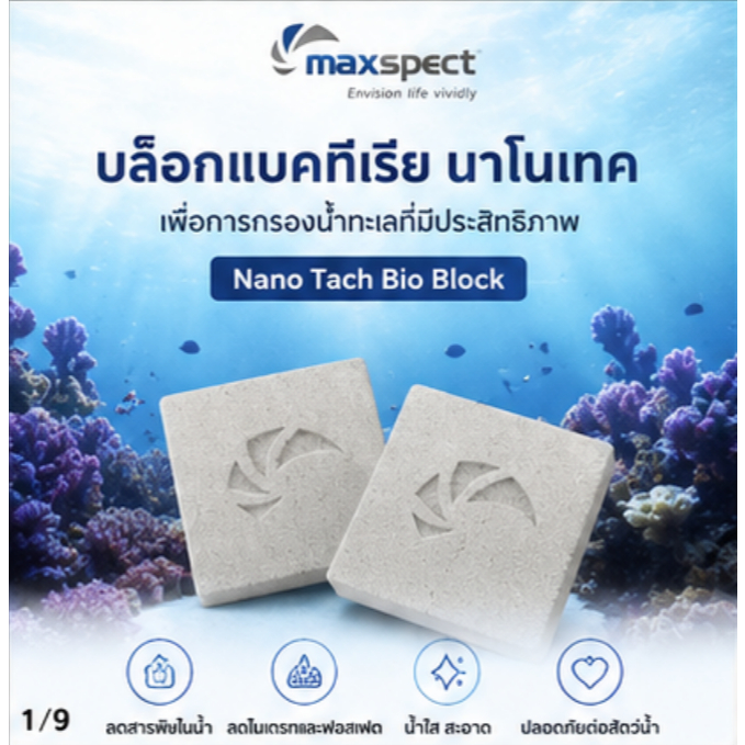 Maxspect Nano Tech Bio Block ไบโอมีเดียเซรามิคกรองน้ำ Maxspect Nano Tech Anaerobic Block กรองไนเตรท 