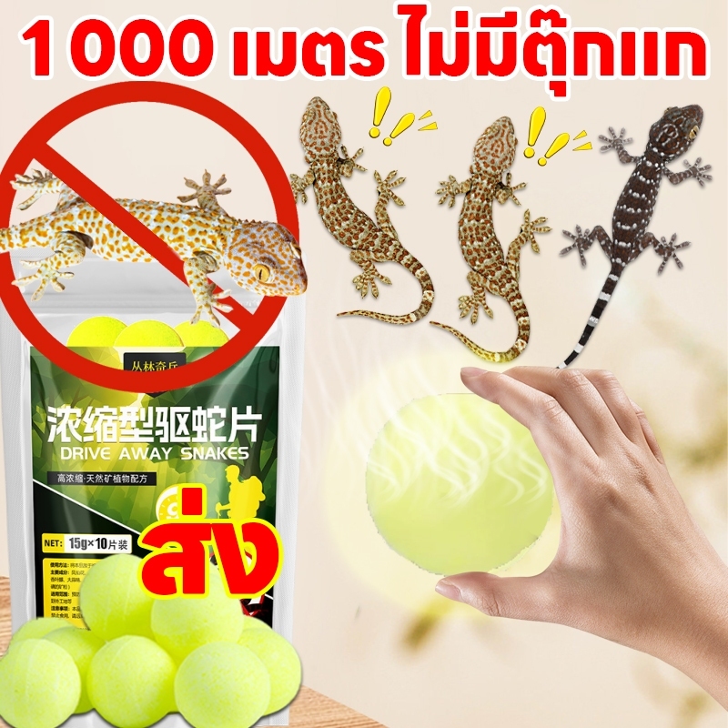 จิ้งจกถาวรขาด ไล่ตุ๊กแก ไล่จิ้งจก ยาไล่ตุ๊กแก ปลอดภัยต่อสัตว์เลี้ยง ยาจิงจก จิงจก ยา จิ้งจก