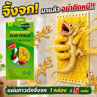 ติดแน่น หนีไม่รอด! แผ่นกาวดักจิ้งจก กำจัดจิ้งจก 1 กล่อง 5 แผ่น（ ยาฆ่าจิ้งจก ไล่จิ้งจก กับดักจิ้งจก ยาไล่ตุ๊กแก）