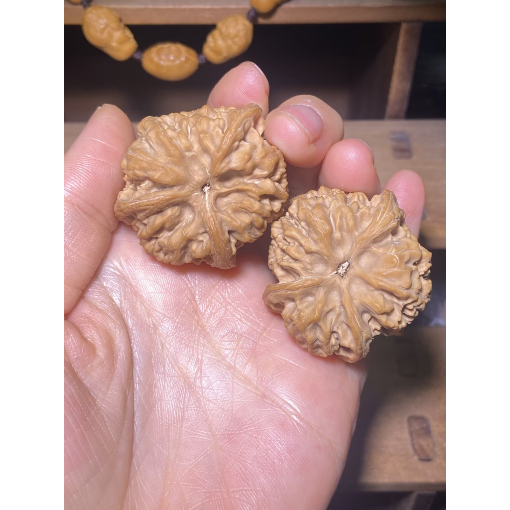 [Sanji-12] Sanjiang Walnuts, Sanjiang Walnuts Premium Wenwan Walnuts, วอลนัทเหวินวาน, วอลนัทเนื้อลึก