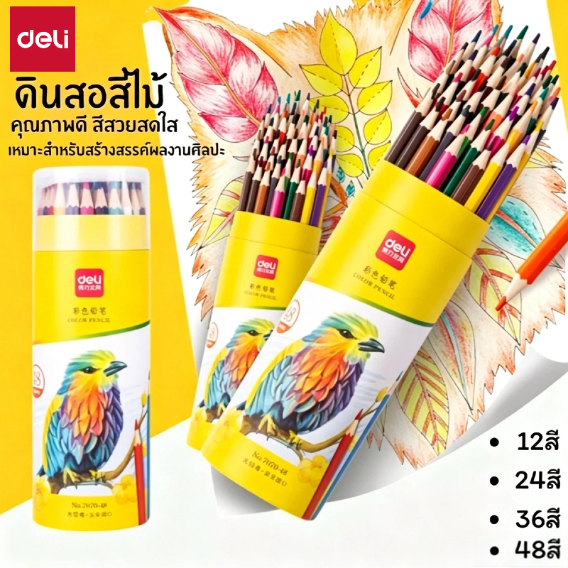 เดลี่ สีไม้ ดินสอสีไม้ 12/24/36/48 สีดินสอสีน้ํามันถังไม้บรรจุภัณฑ์หลอดกระป๋องแกนขนาดใหญ่เม็ดสีที่อุดมไปด้วยอุปกรณ์ศิลปะ