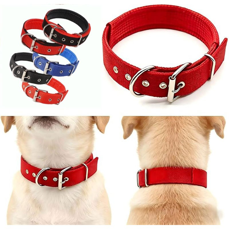 ปลอกคอสุนัขบุโฟมนุ่ม 6 สี ปรับขนาดได้ ไม่รัดคอ เหมาะสุนัขกลาง-ใหญ่ สำหรับพาออกเดิน