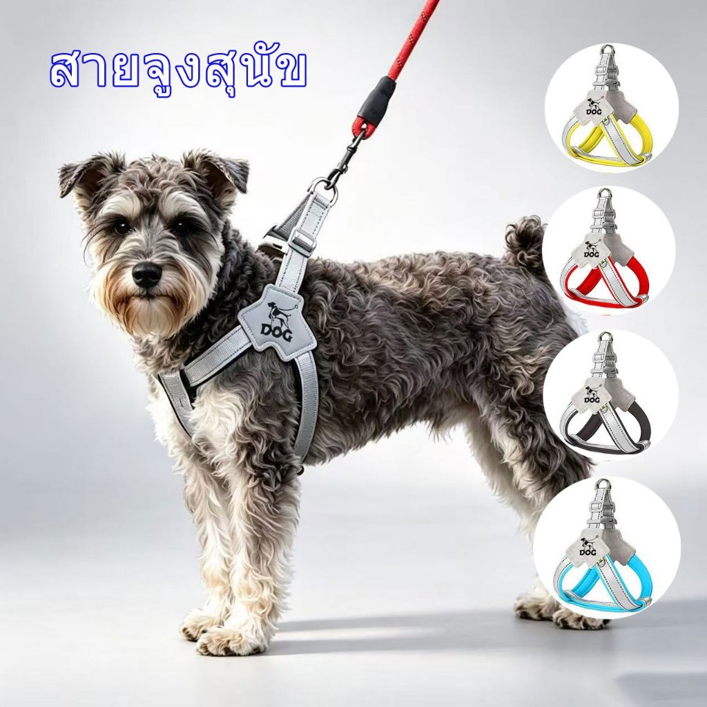 สายจูงสุนัขปรับได้,สายจูงสุนัขที่ทนทาน,ไม่กดคอสำหรับสุนัขขนาดเล็ก Unisex Dog ชุดสายรัดอกสุนัข สายจูงสุนัข ปรับขนาดได้ ตะเข็บแน่นทนทาน ไม่กดคอ กัดไม่ขาด ใช้ได้ทั้งสุนัขเล็กและใหญ่ น้ำหนักเบา ระบายอากาศได้ดี