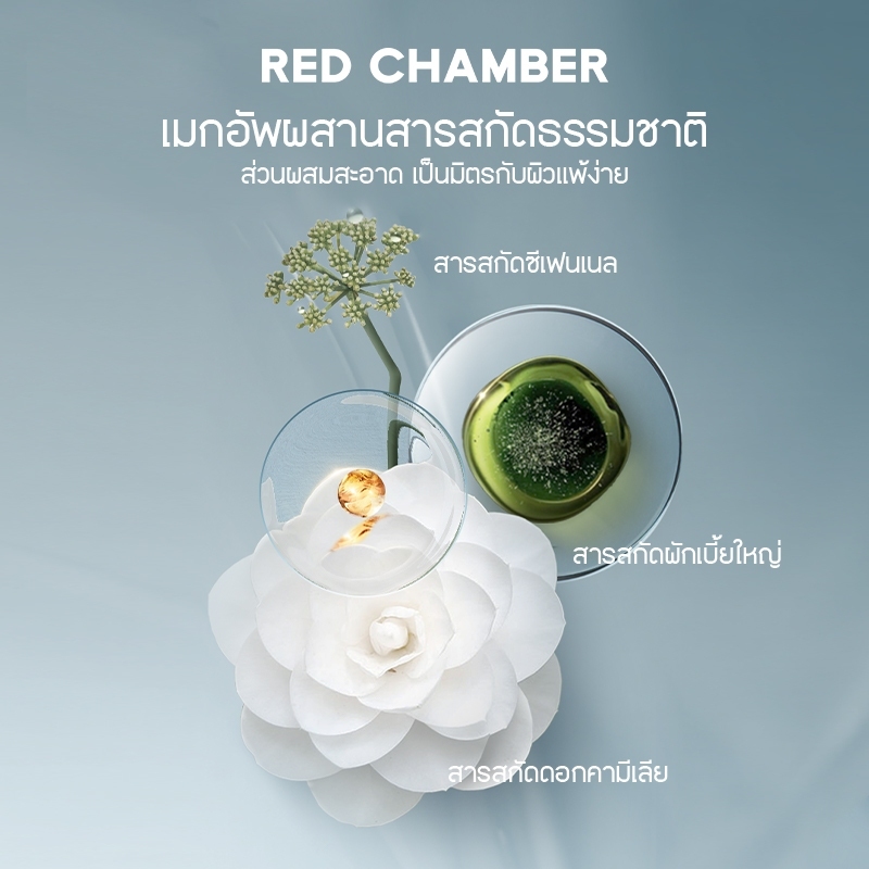 RED CHAMBER باليت كونسيلر HARUKI — صورة 8