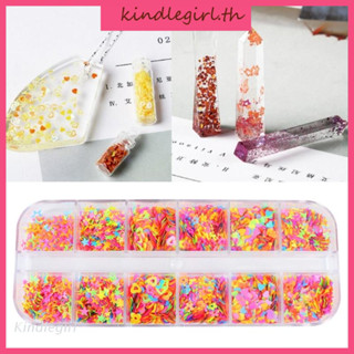 KING 12 Grids/Box Nail Art Fluorescent Sequins Holographic Glitter Flakes Jewelry Epoxy DIY Resin Mold Filling Decoration