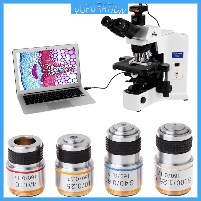 เลนส์กล้องจุลทรรศน์สำหรับ Biological 10 x 40 x 100 x