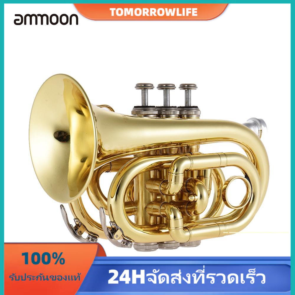 lade professional อุปกรณ์เสริมสําหรับทรัมเป็ต b bb เครื่องดนตรีพร้อมถุงมือแปรงทําความสะอาด