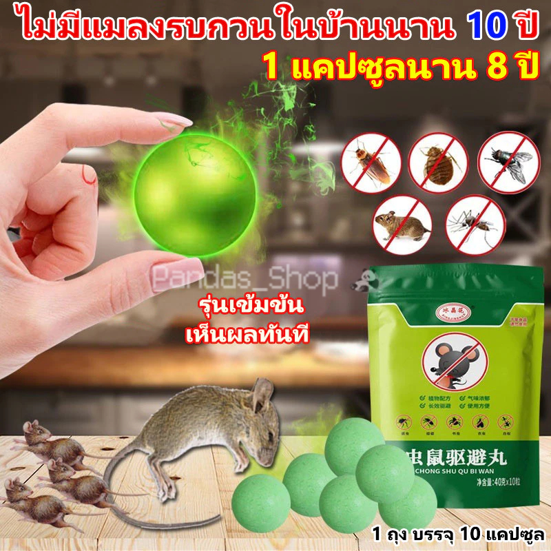 ไม่มีหนูภายใน 100 ม. Rat killer ลูกมอดสําหรับหนู ยาขับไล่หนู ยาฆ่าแมลง เครื่องไล่เมาส์อันทรงพลัง แมลงปลอดสารพิษ