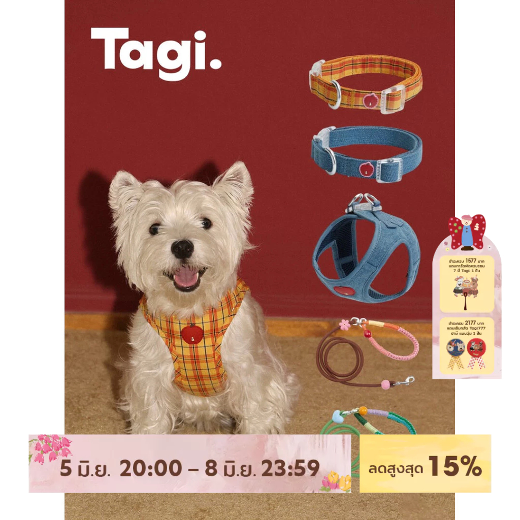 Tagi. Apple Pet Collar and Harness Signal Heart Pet Leashes