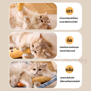 【Horbong Pets】ของเล่นแมว ตุ๊กตาปลา แบบมีกัญชาแมว 22cm มีกระดิ่ง ผ่อนคลายความเครียด ปลอดภัยทนทาน