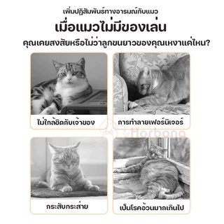 【Horbong Pets】ของเล่นแมว ตุ๊กตาปลา แบบมีกัญชาแมว 22cm มีกระดิ่ง ผ่อนคลายความเครียด ปลอดภัยทนทาน