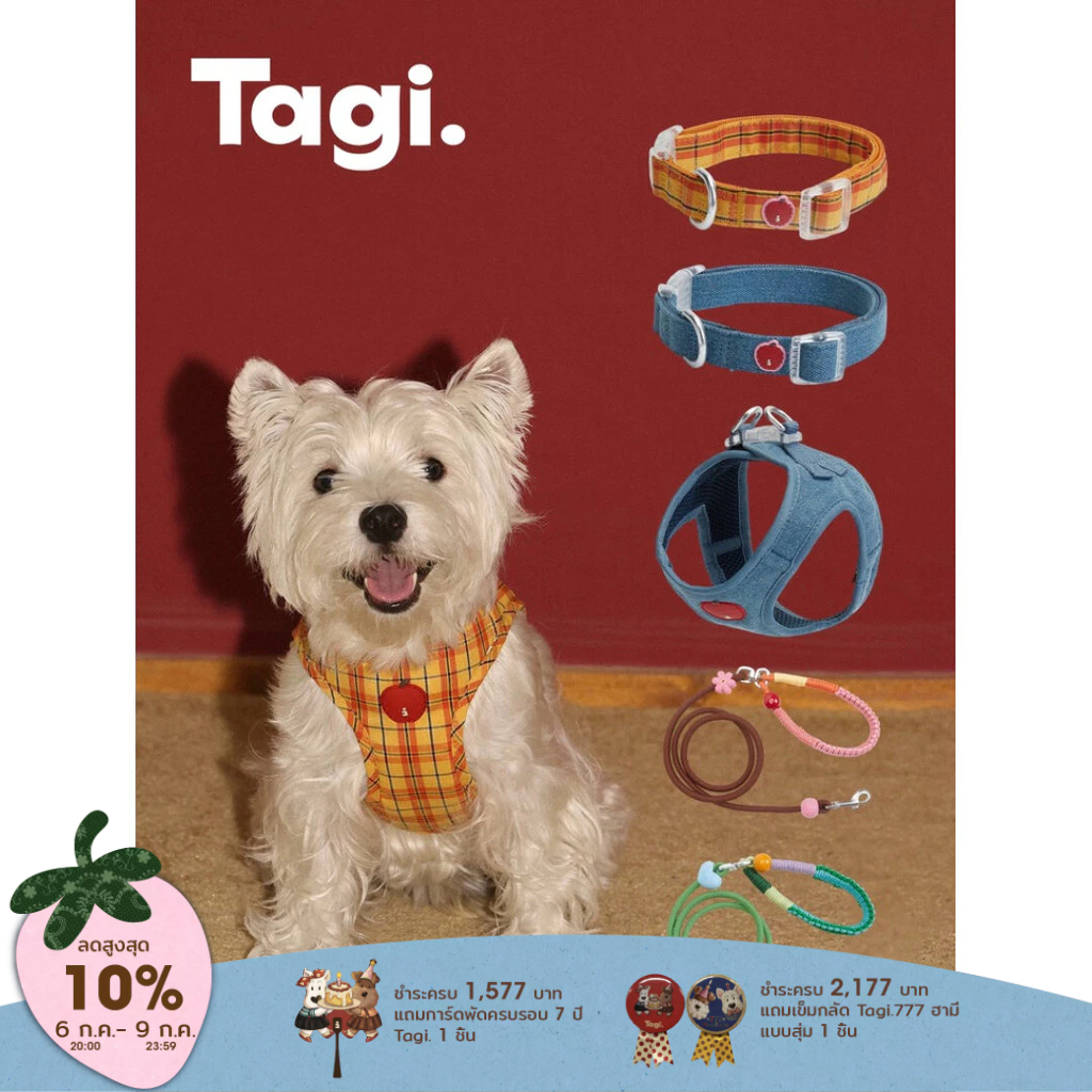 Tagi. Apple Pet Collar and Harness Signal Heart Pet Leashes