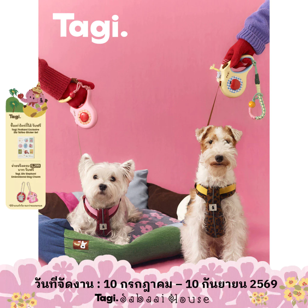 Tagi. Signal Overalls Pet Harness Pet Retractable Leash Wrist Strap สายจูงสุนัขแบบหดได้ลายแอปเปิ้ล