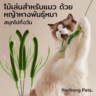 【Horbong Pets】ไม้ตกแมว ไม้ล่อแมว ไ ขนนกหลายสี มีกระดิ่ง ม้ตกแมวแบบสปริง แบบลวดสลิง
