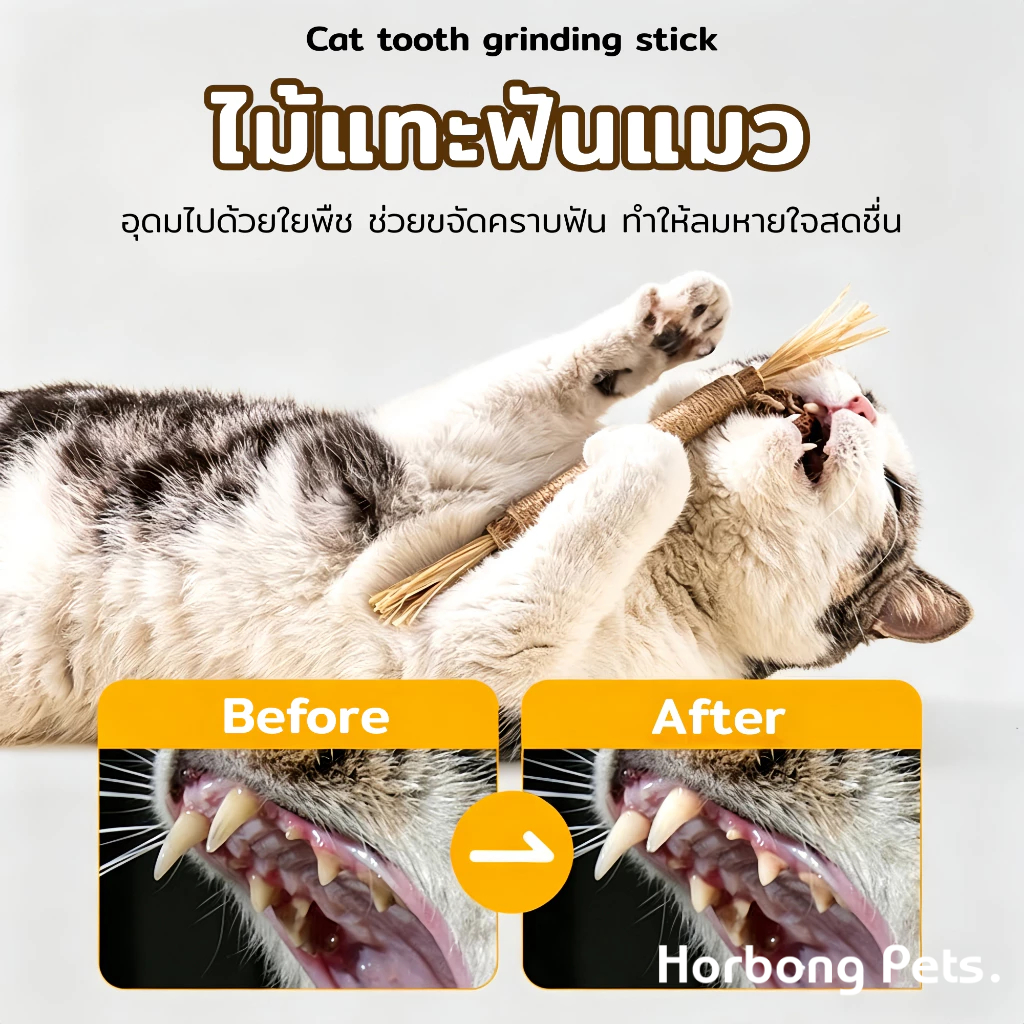 【Horbong Pets】ไม้แมวเมา อันใหญ่ ของเล่นแมว ไม้มาทาทาบิ ขัดฟันแมว ของเล่นเเมว มาทาทาบิ มาทาบิ ลดคราบหินปูน