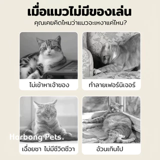 【Horbong Pets】ตุ๊กตาปลา ของเล่นแมว ปลาซาบะ มีกัญชาแมวภายใน คลายเครียด กระตุ้นสัญชาตญาณนักล่า ปลอดภัยทนทาน