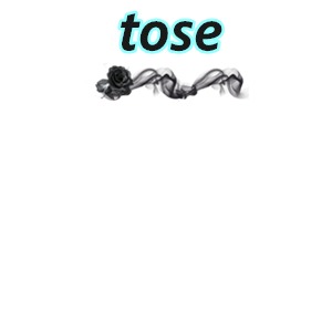 toseusan.th