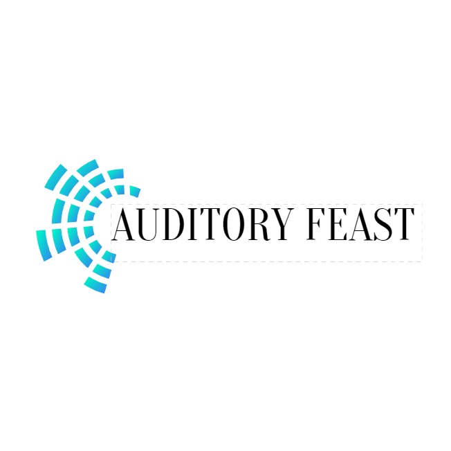 Auditory Feast Store