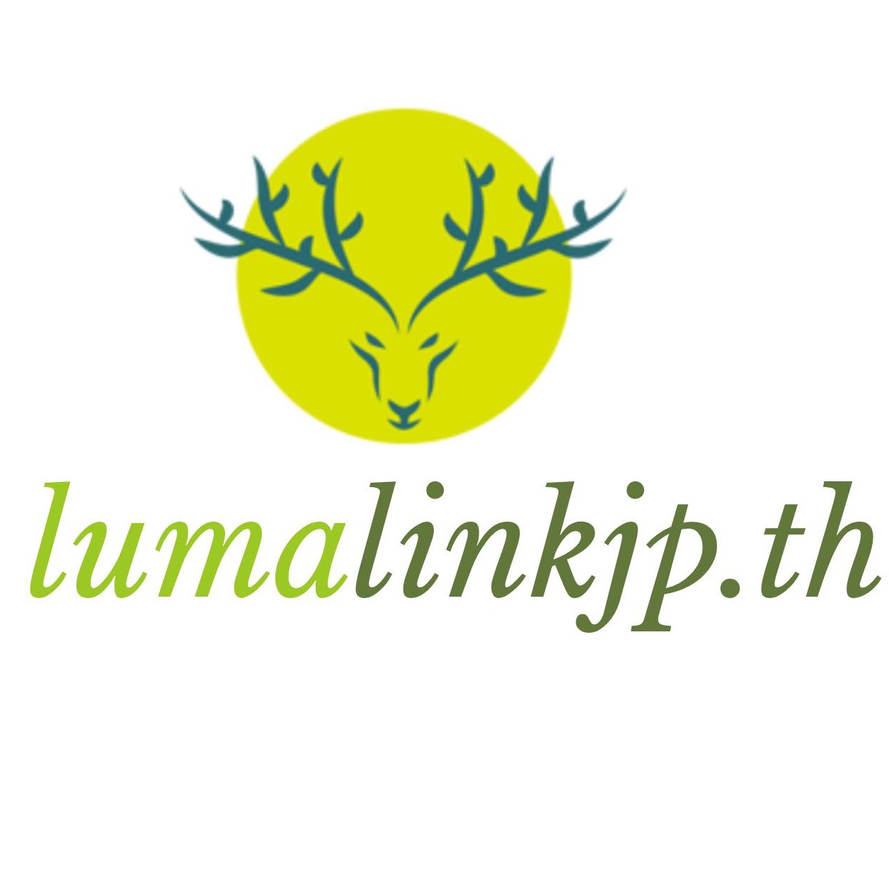 lumalinkjp.th