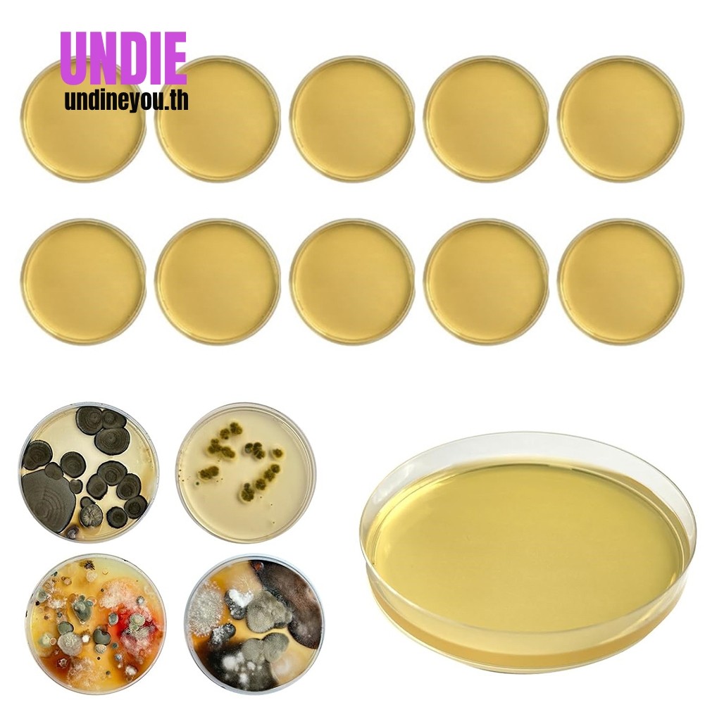 สําหรับชุดทดสอบแม่พิมพ์ Home DIY สําหรับการทดสอบแม่พิมพ์ HVAC System Kit เครื่องตรวจจับ