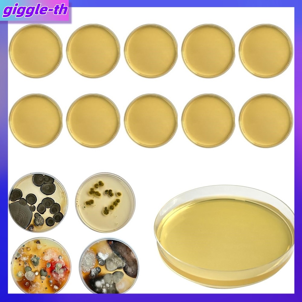 สําหรับชุดทดสอบแม่พิมพ์ Home DIY สําหรับการทดสอบแม่พิมพ์ HVAC System Kit เครื่องตรวจจับ