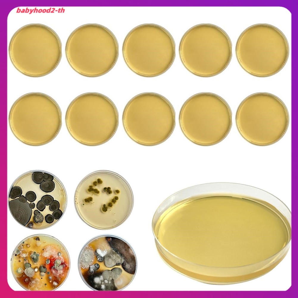 สําหรับชุดทดสอบแม่พิมพ์ Home DIY สําหรับการทดสอบแม่พิมพ์ HVAC System Kit เครื่องตรวจจับ